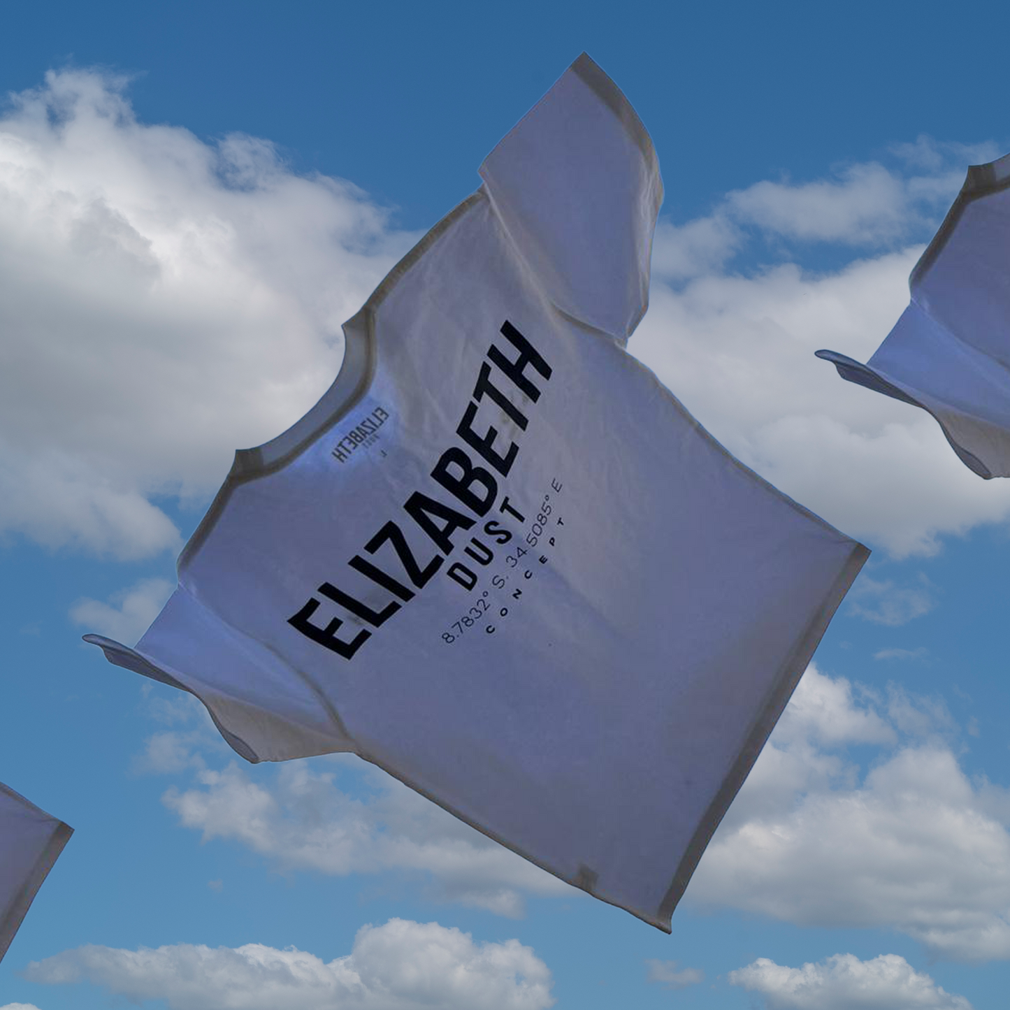 WHITE ELIZABETH DUST TSHIRT