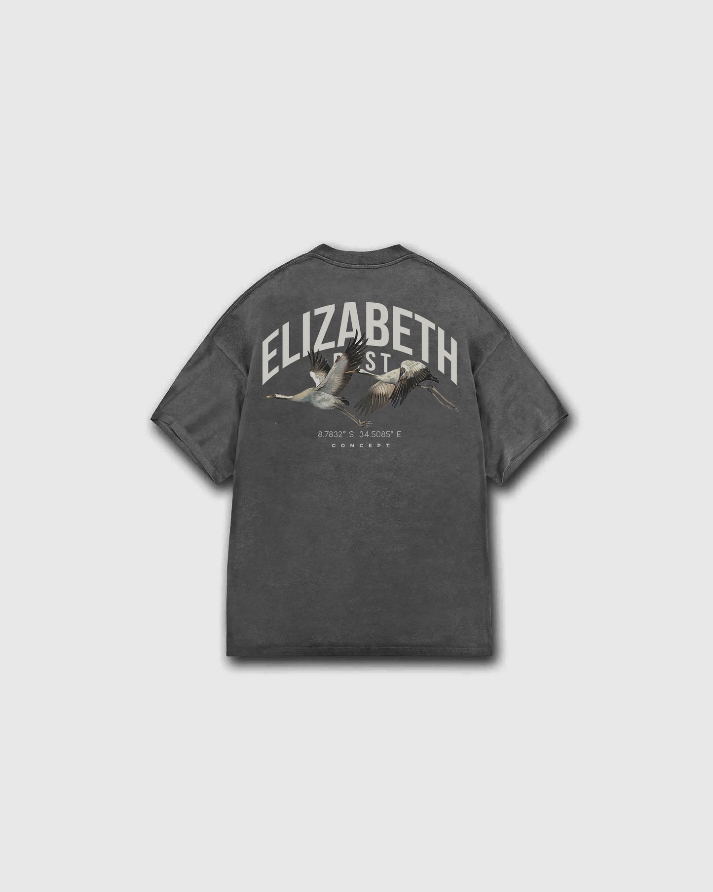 ELIZABETH DUST - WINGS OF TRANQUILITY TEE V2